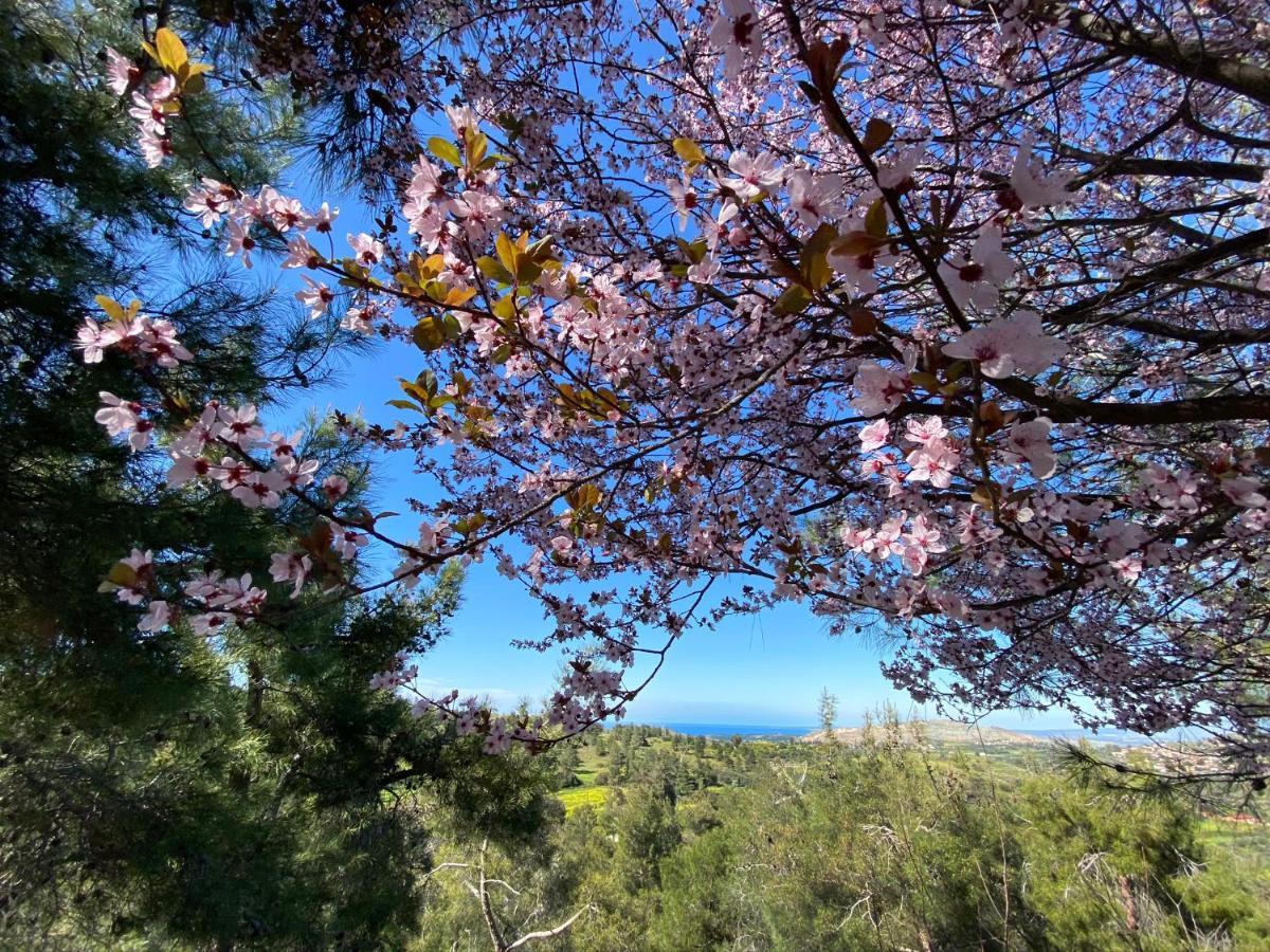 Vila Anti Onirou Flasou Exteriér fotografie