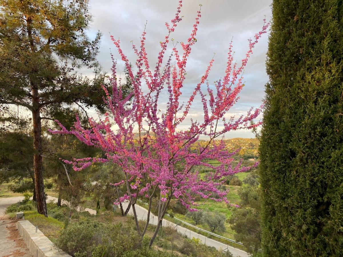 Vila Anti Onirou Flasou Exteriér fotografie