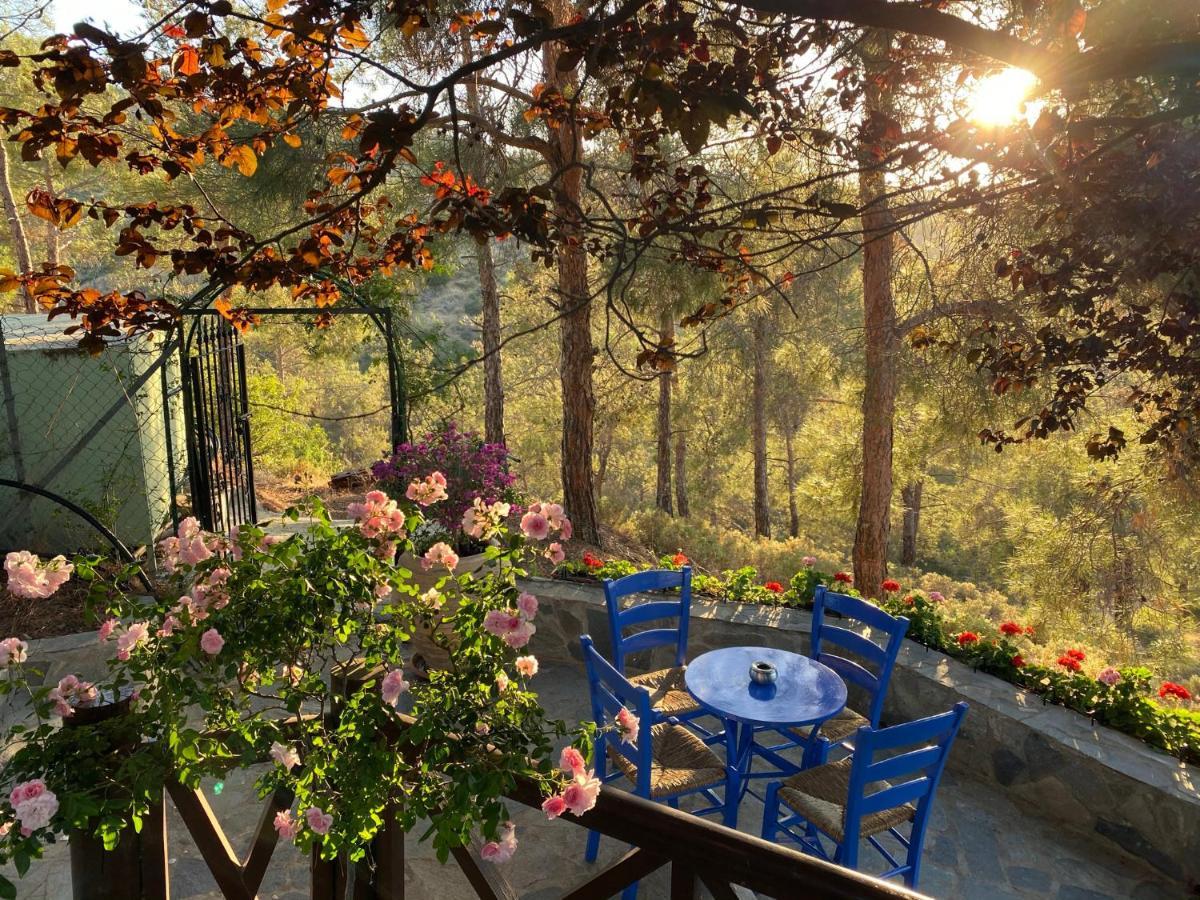 Vila Anti Onirou Flasou Exteriér fotografie