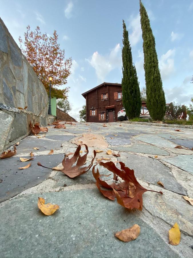 Vila Anti Onirou Flasou Exteriér fotografie